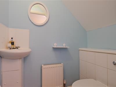 Picture 24